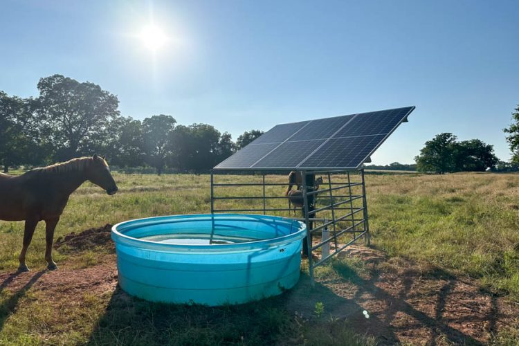 Solar-powered livestock water tank with a horse drinking in a sunny Oklahoma pasture