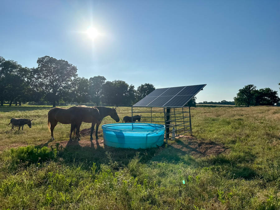Solar-powered water well system with blue livestock tank in a rural pasture